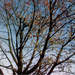 286006_f1efa_square