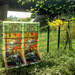 368031_2815a_square