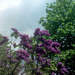 378751_585df_square