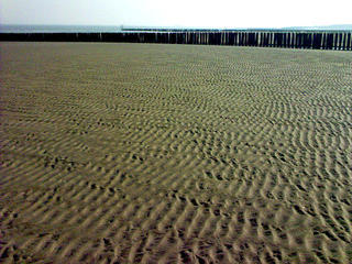 Early Morning (3)