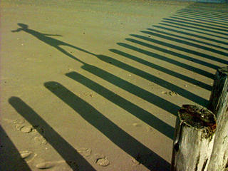 In the Shadows (3)