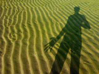 In the Shadows (4)
