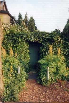 Secret Garden