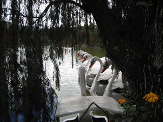 BURNHAM OARK, BAGUIO CITY
