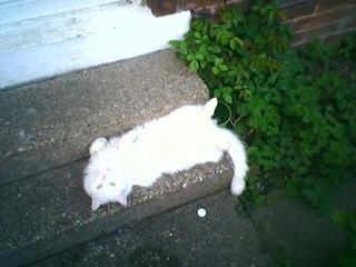 comfortable?