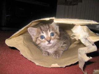 Special Delivery, Please Sign Here!