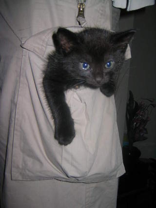 Who put that there !