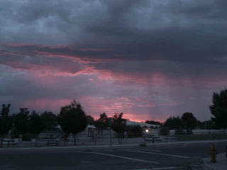 A syntom of the hearty storm....