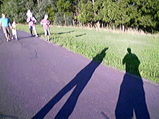 Shadows in the park