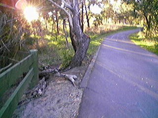 Setting sun
