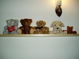 Teddy Corner