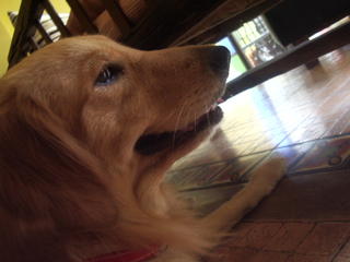 Sunshine