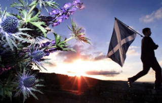 Thistle With Scottish Flag
