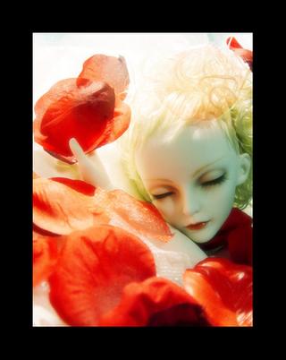 dream