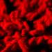 193087_cf890_square