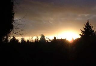 the silvery light of a dream
