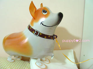 Our new pet :P