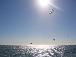 Kite Surfing in Brighton Beach