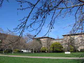 South Lawn