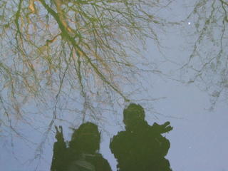 Reflection