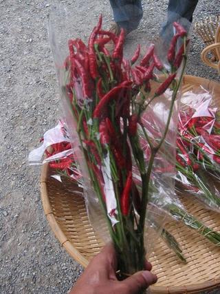 Bouquet