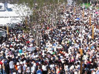 Last Day Crowd