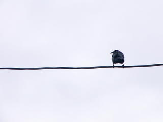 The thin line between freedom and death
