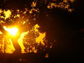 Shadows of the sun