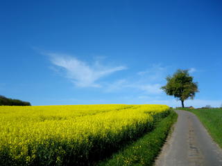 On the road