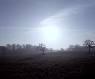 Sunlight