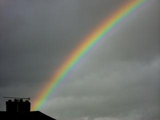 Outside my window