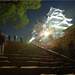 834737_a2d24_square