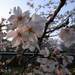 838533_1c173_square