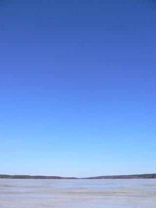 Big blue one