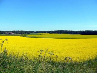 Sweden? ;)