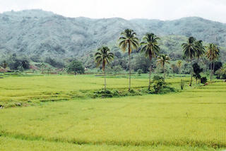 Longing for nature