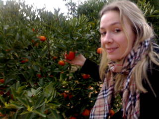 Oranges!