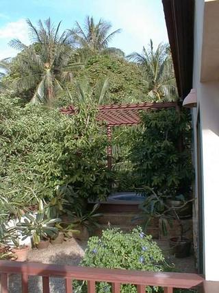 The Balcony