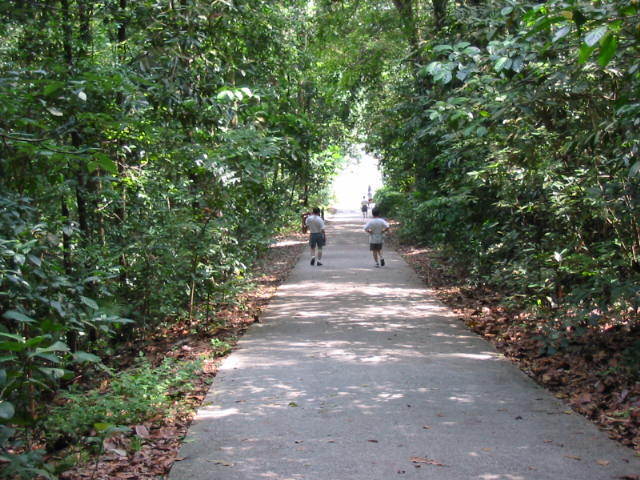 Bukit Timah Trip