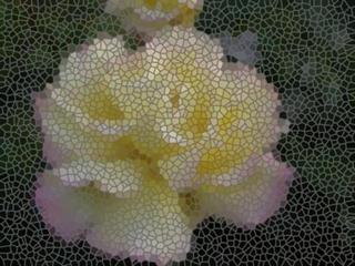Just A Test