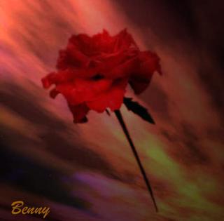 ThE uNiQuE fLoWeR