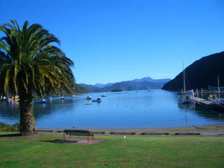 Cable bay - and the start of our Tortuous Tour de New Zealand