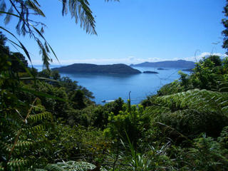 Queen Charlotte Track cont...