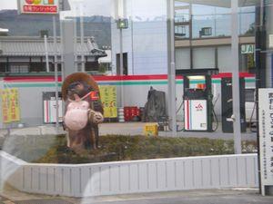 Tanuki spotted!