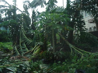 aftermath of the typhoon