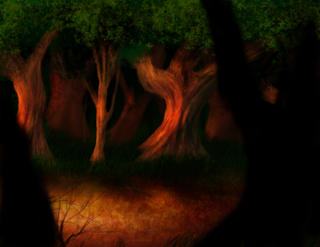 Entering Forest