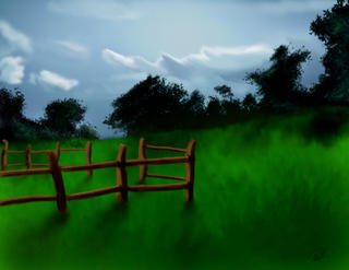 Sheep Field