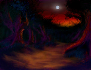 Sunset Forest