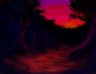 Forest Sunset 2