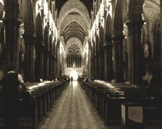 The Light